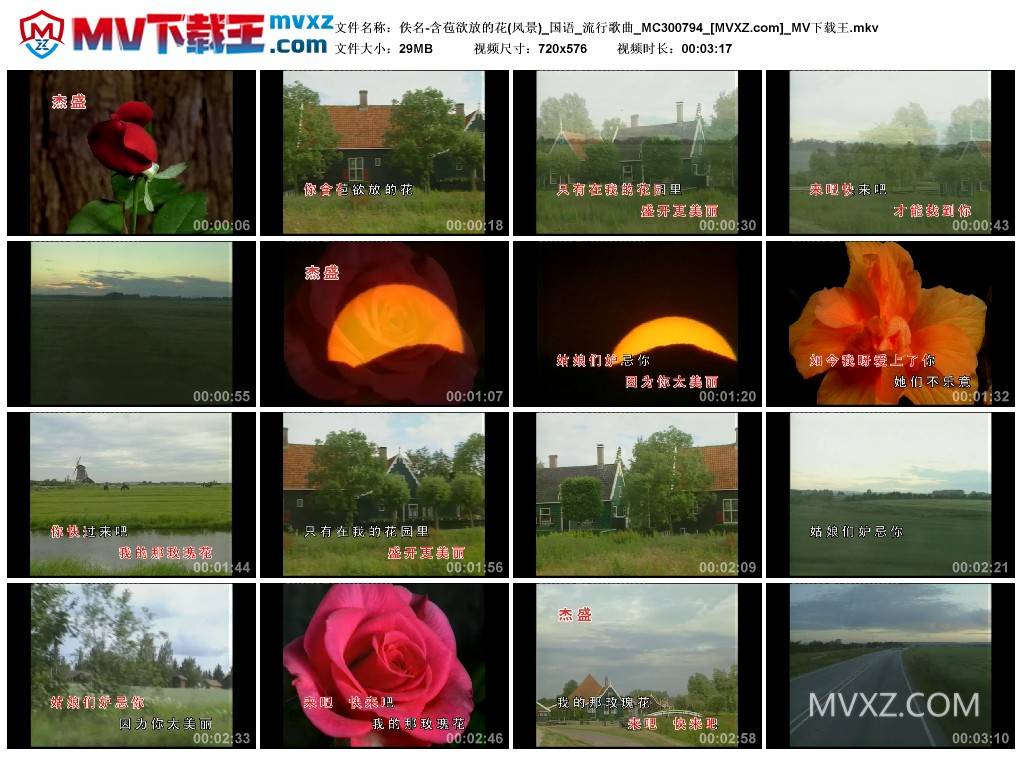 佚名-含苞欲放的花(风景)_国语_流行歌曲_MC300794